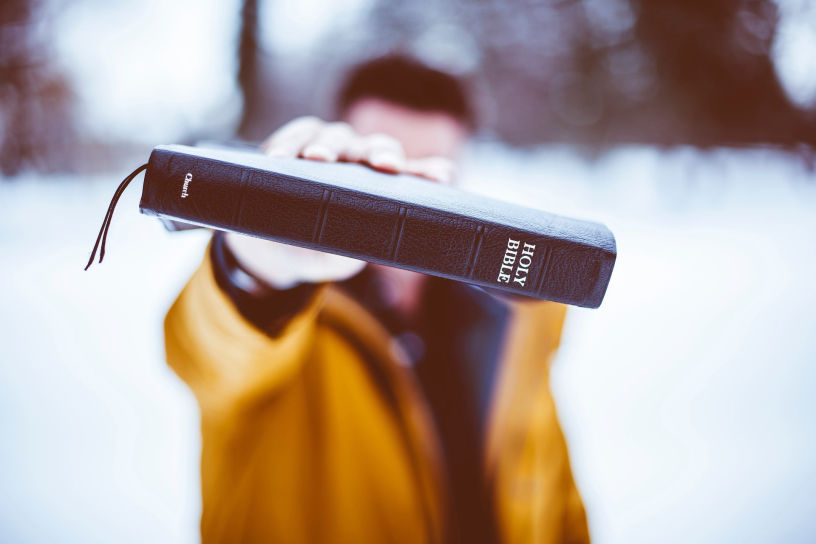 vojon bible